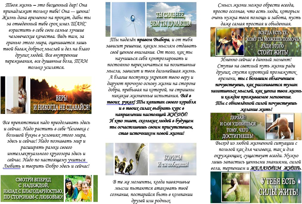 blog